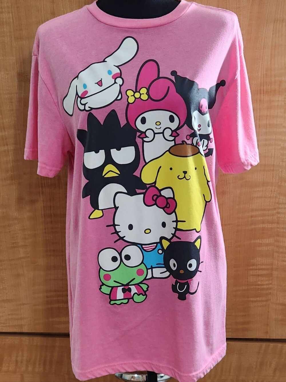 NWOT Sanrio Hello Kitty and Friends Tshirt Size Medium.